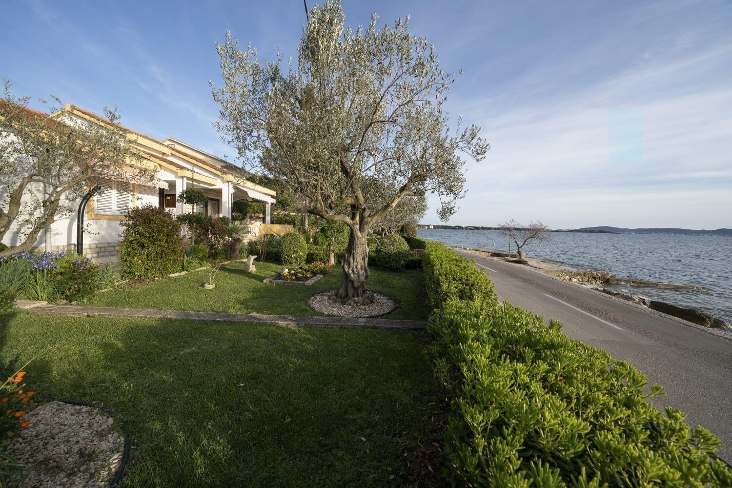 Villa Petar 1 - 10m from sea Zadar Exteriör bild
